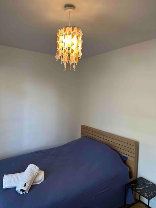 Charmant T3 Moderne Climatise Villeurbanne Luaran gambar